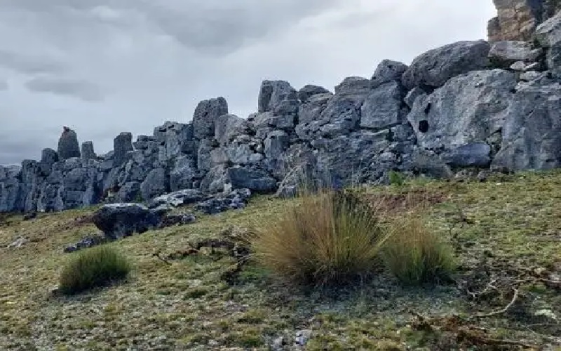 Ruta del Zorro Místico